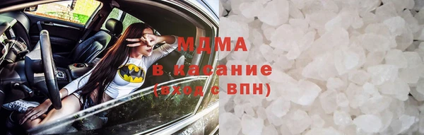 индика Дмитриев