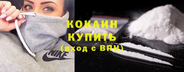 индика Дмитриев