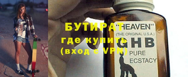 индика Дмитриев