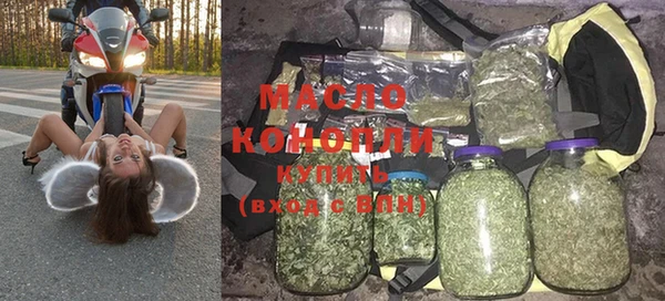 индика Дмитриев