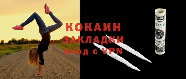 индика Дмитриев