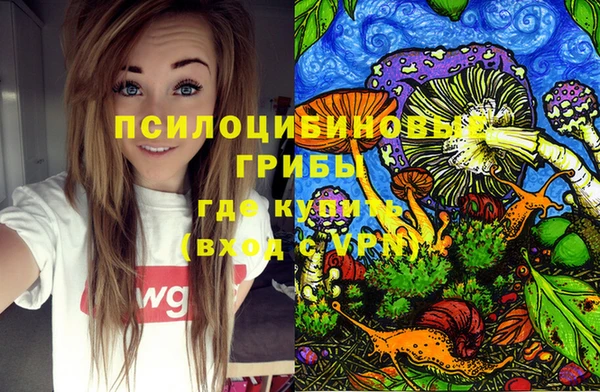 ПСИЛОЦИБИНОВЫЕ ГРИБЫ Елизово