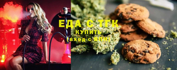 индика Дмитриев