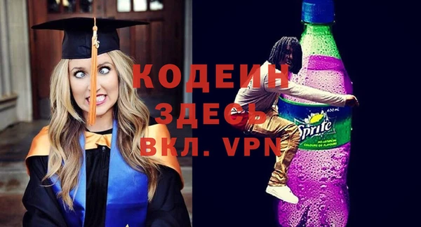 индика Дмитриев