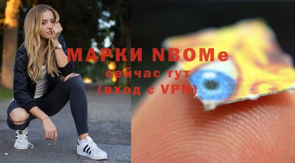 индика Дмитриев