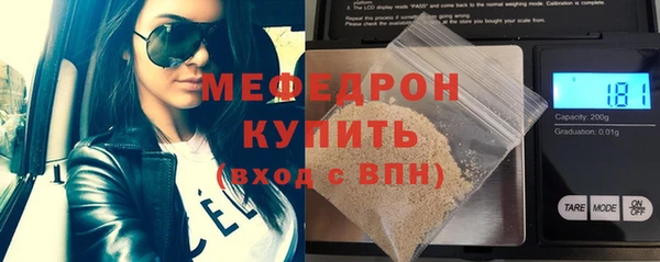 индика Дмитриев